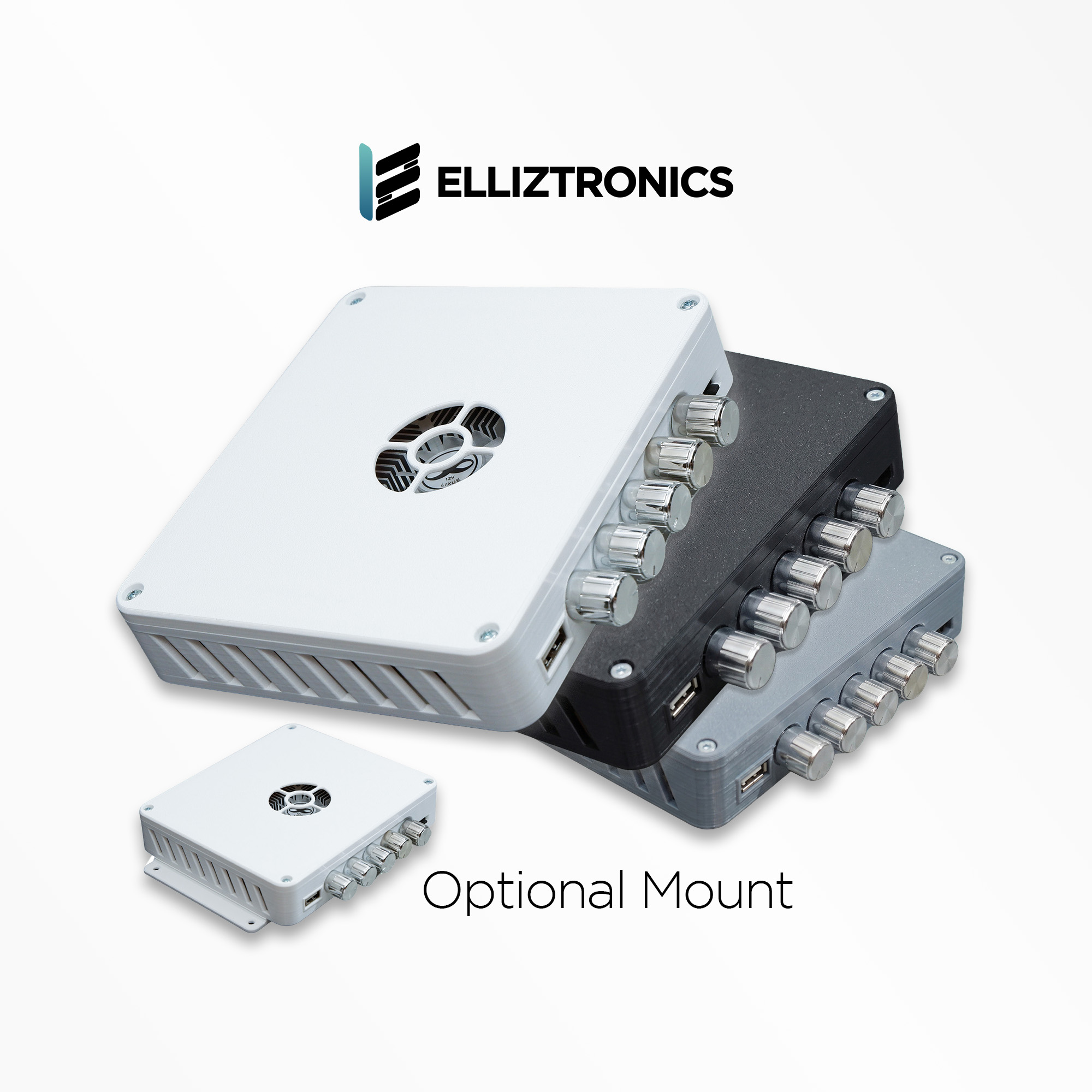 Elliztronics ZK-HT21 amplifier case